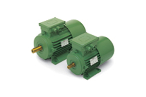 MTS-MTS3 系列异步电动机 MTS-MTS3 系列异步电动机